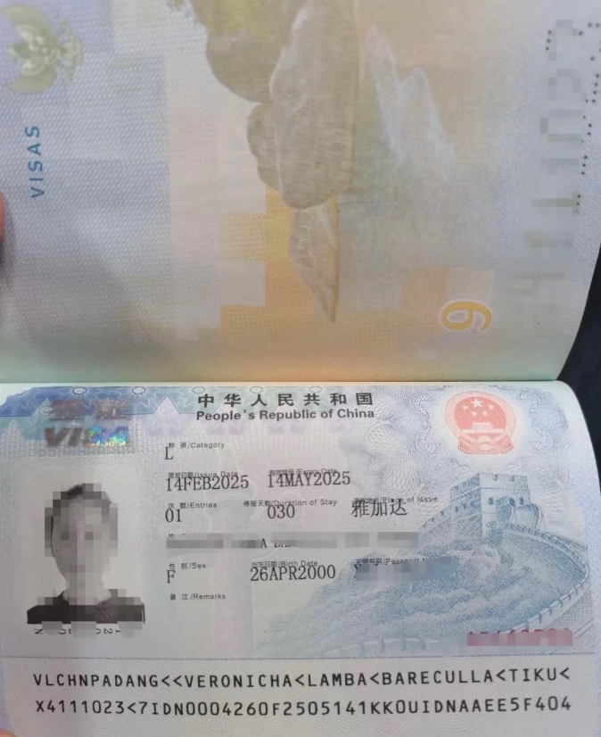 china tourist visa