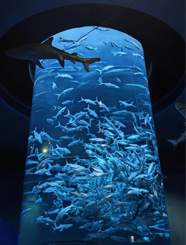 Ocean Park attractions map Ocean Park attractions map
