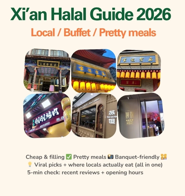 Halal Food in China: Avoid Starvation with These 15 Proven Tips