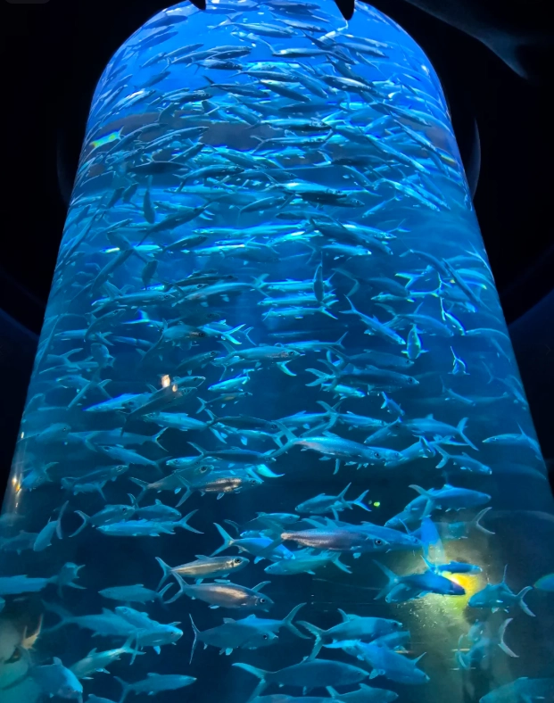 best photo spots Ocean Park best photo spots Ocean Park