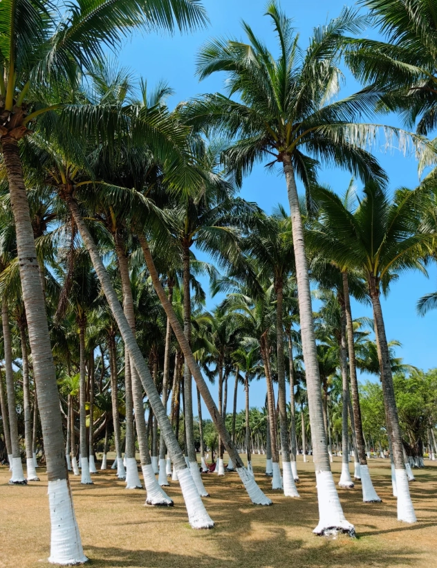best time to visit Haikou best time to visit Haikou