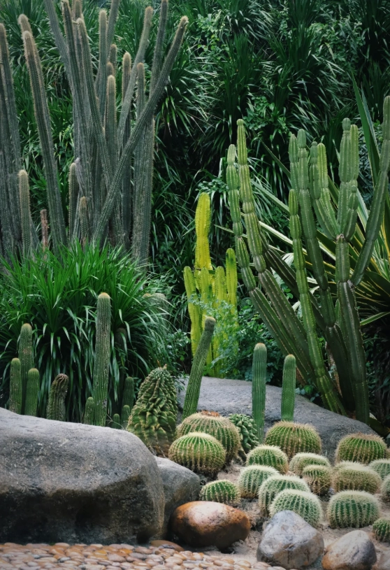 xiamen botanical garden tour tips xiamen botanical garden tour tips