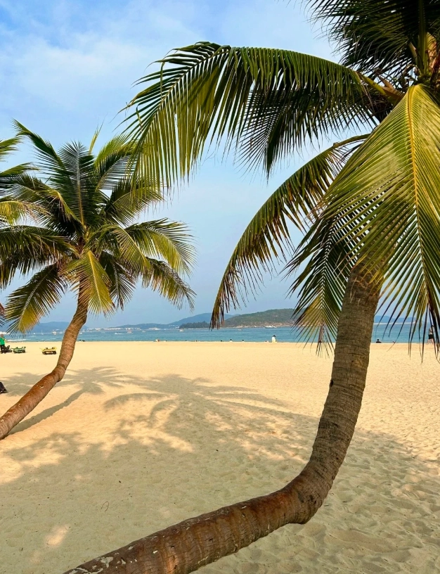 Yalong Bay Sanya hours