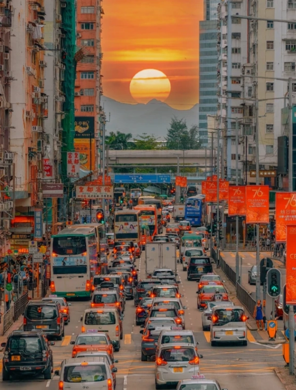 Hong Kong street food guide Hong Kong street food guide