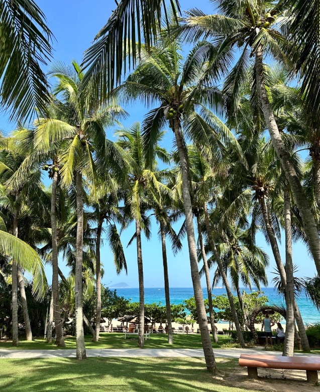 Yalong Bay Sanya Yalong Bay Sanya