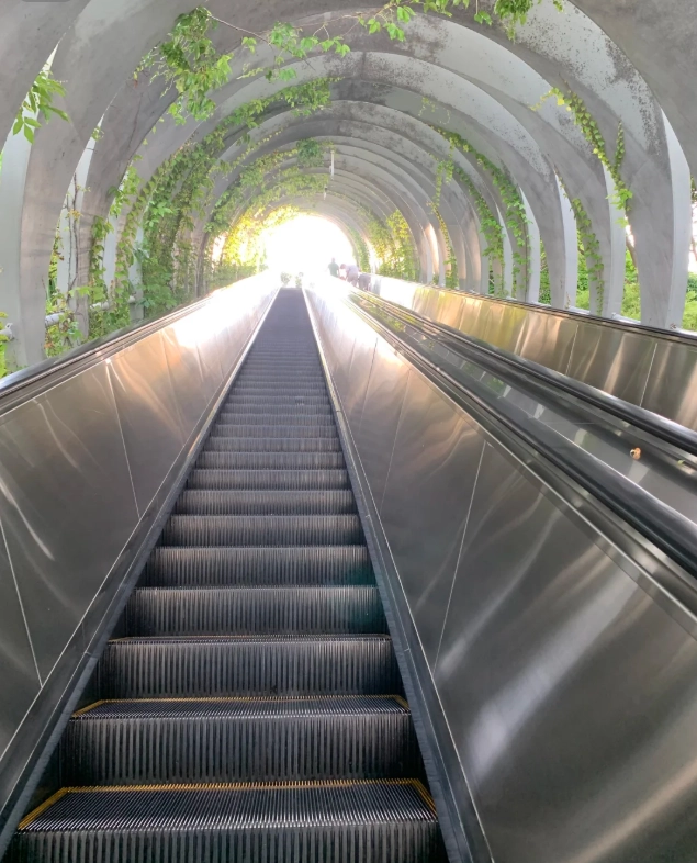 Xiamen Botanical Garden by Subway: Fastest Route & Insider Tips