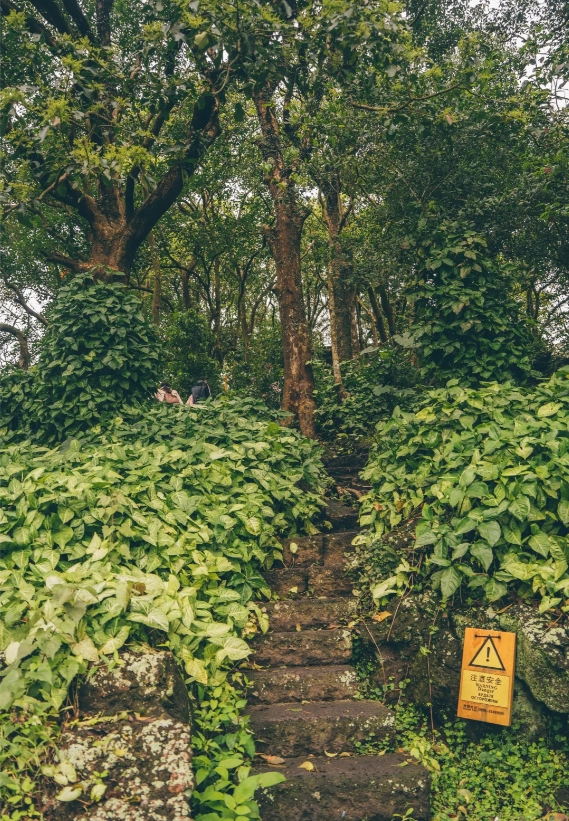 Haikou volcanic park tips Haikou volcanic park tips
