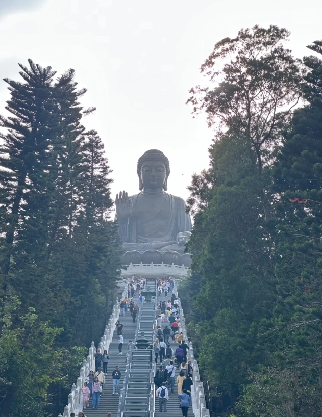 things to do during Hong Kong layover