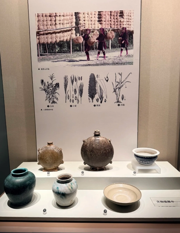Hainan Provincial Museum hours