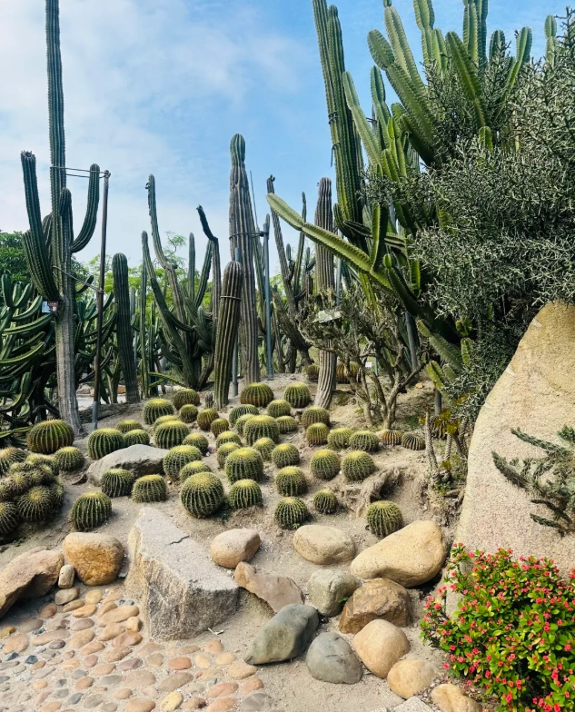 xiamen botanical garden opening hours