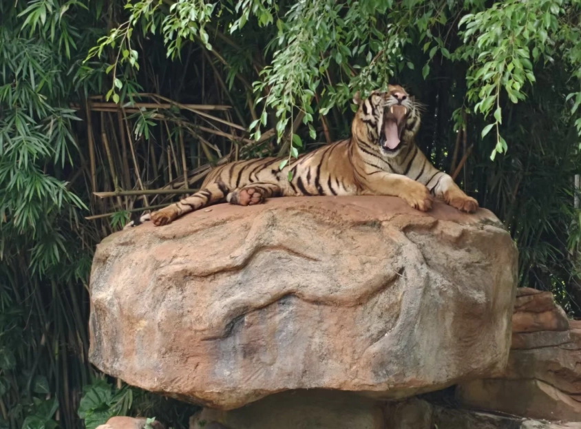 things to do in Hainan with kids things to do in Hainan with kids
