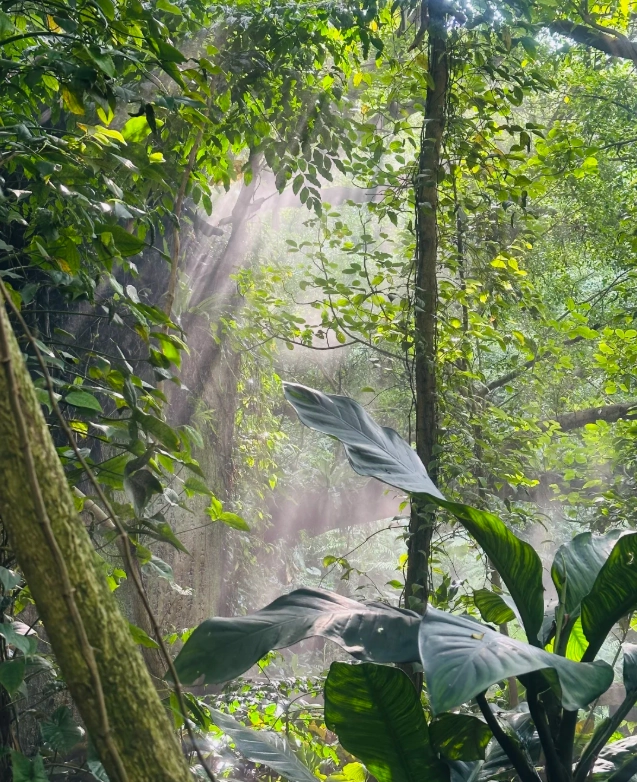 Xiamen Botanical Garden guided tour: Save Time & Avoid Tourist Traps