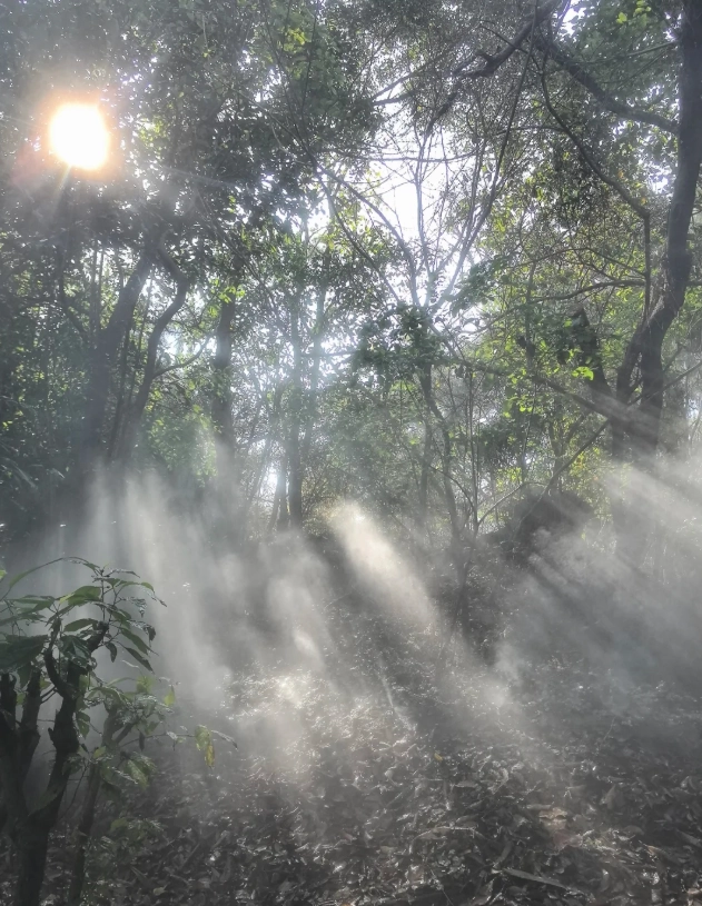 Xiamen Botanical Garden photography Xiamen Botanical Garden photography
