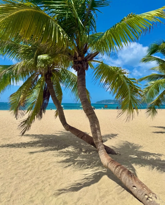 Yalong Bay attractions Yalong Bay attractions