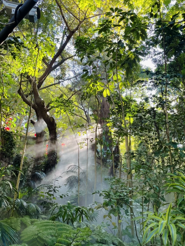 Xiamen Botanical Garden public transport Xiamen Botanical Garden public transport