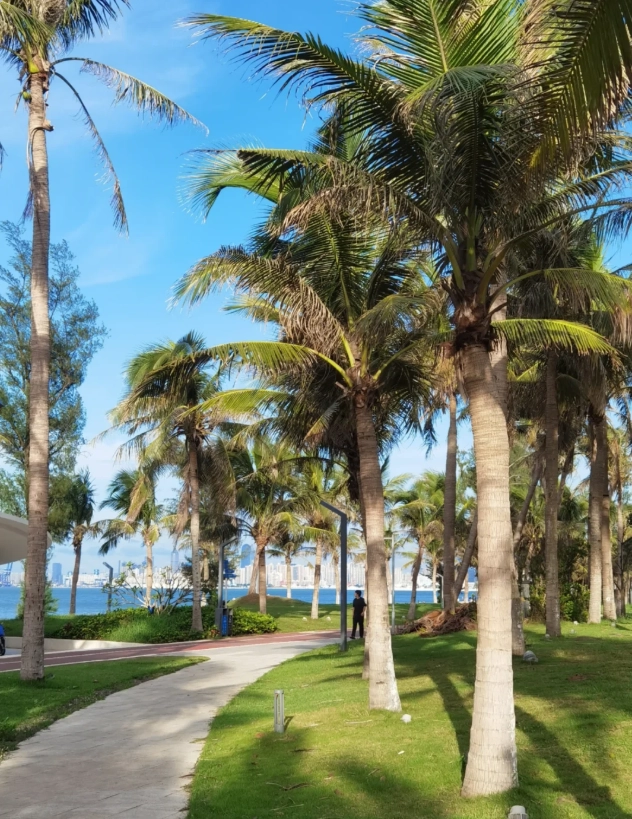 Haikou airport transfer Haikou airport transfer