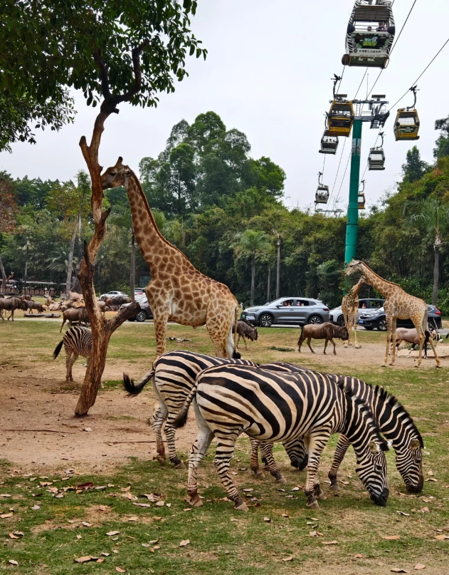 how to visit Hainan Tropical Wildlife Park how to visit Hainan Tropical Wildlife Park