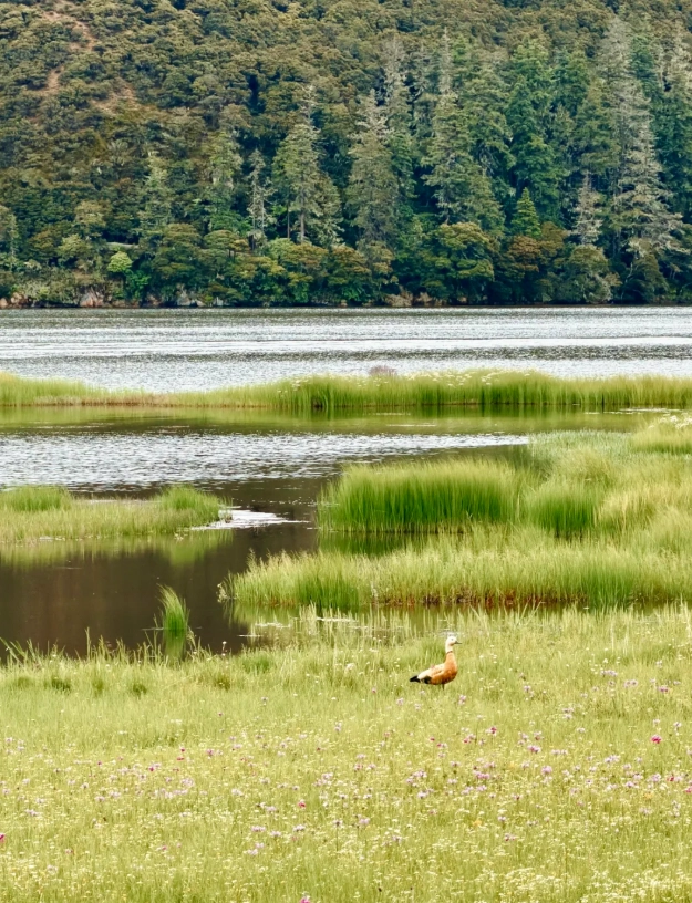 Pudacuo National Park tips