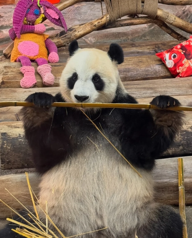Hainan wildlife park tour Hainan wildlife park tour