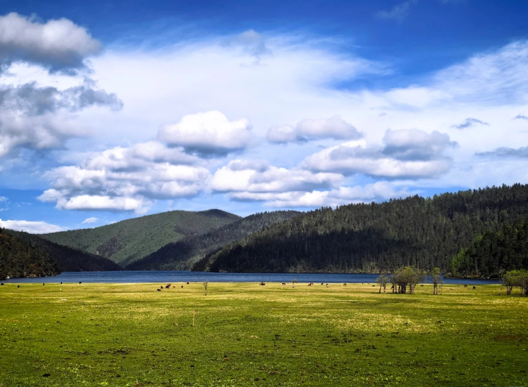 Pudacuo National Park Photography Spots: Capture Yunnan's Hidden Gem
