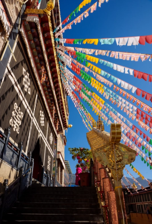 Photo of Ganden Sumtseling Monastery: Ganden Sumtseling Monastery