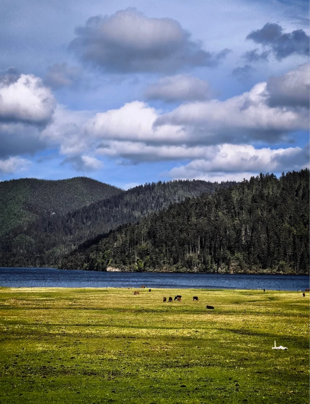 Yunnan nature photography Yunnan nature photography