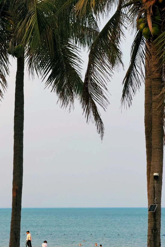 things to do in Haikou things to do in Haikou