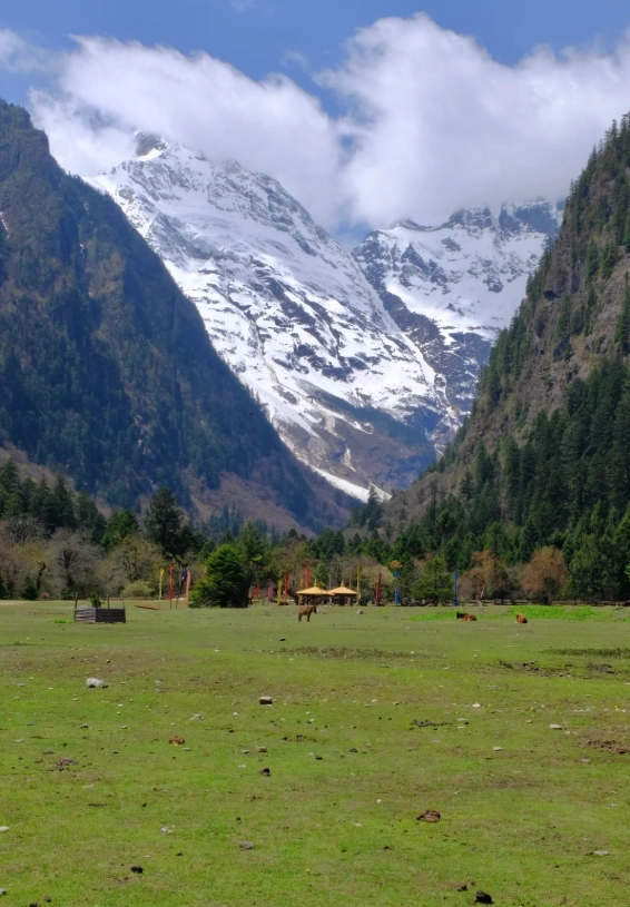 yubeng village tips yubeng village tips