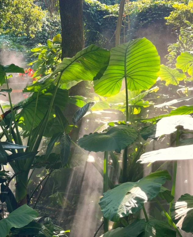 best time to visit Xiamen Botanical Garden best time to visit Xiamen Botanical Garden