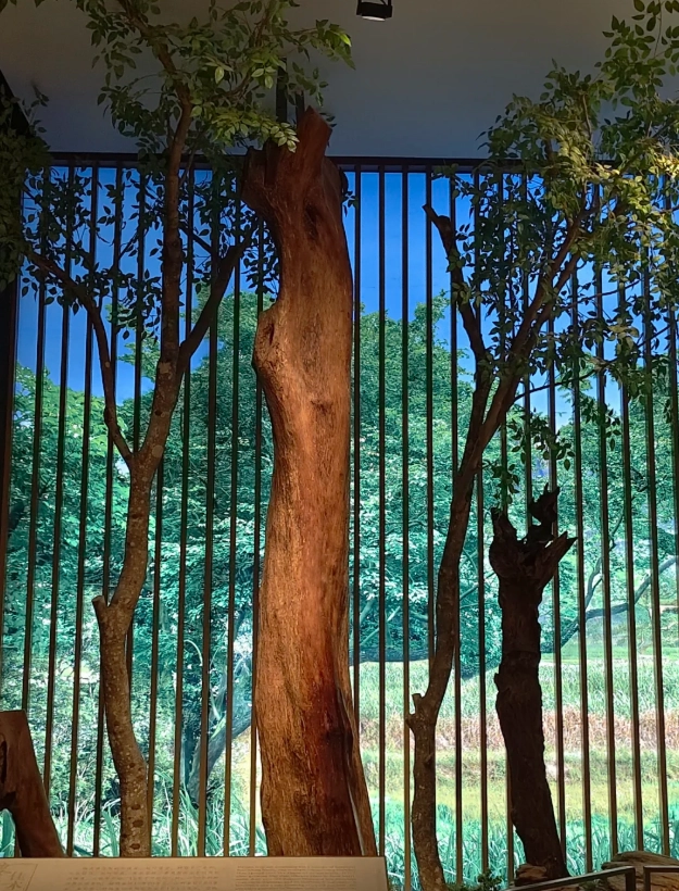 hainan museum foreigner booking hainan museum foreigner booking
