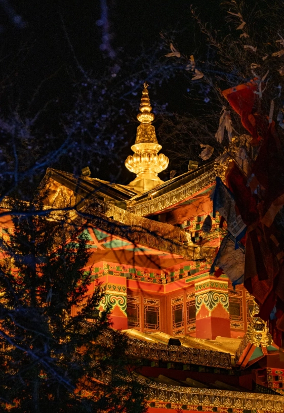 Dukezong at night