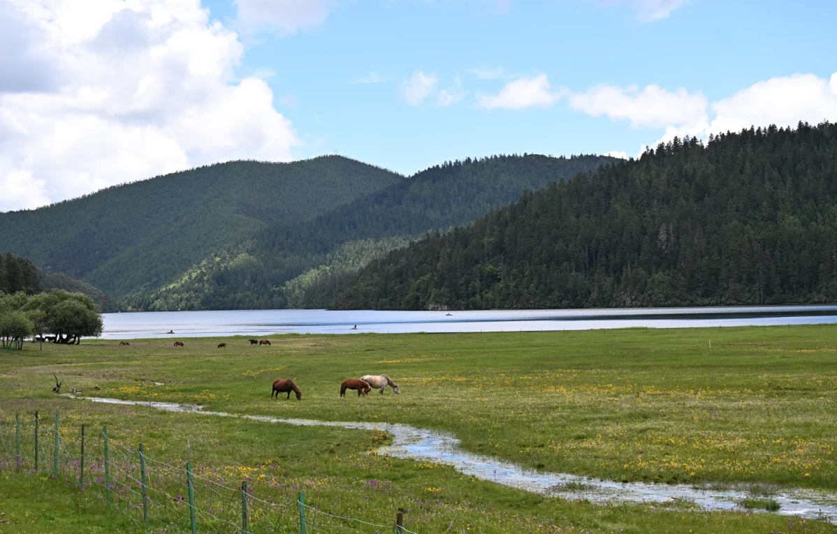 Travel photos of Shangri-La: pudacuo national park from shangri-la
