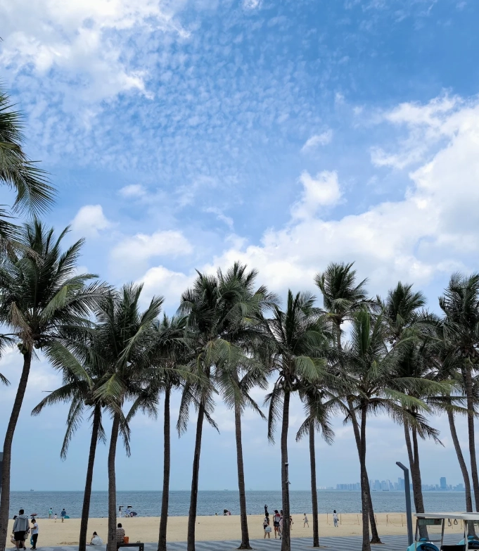 Haikou guided tour Haikou guided tour