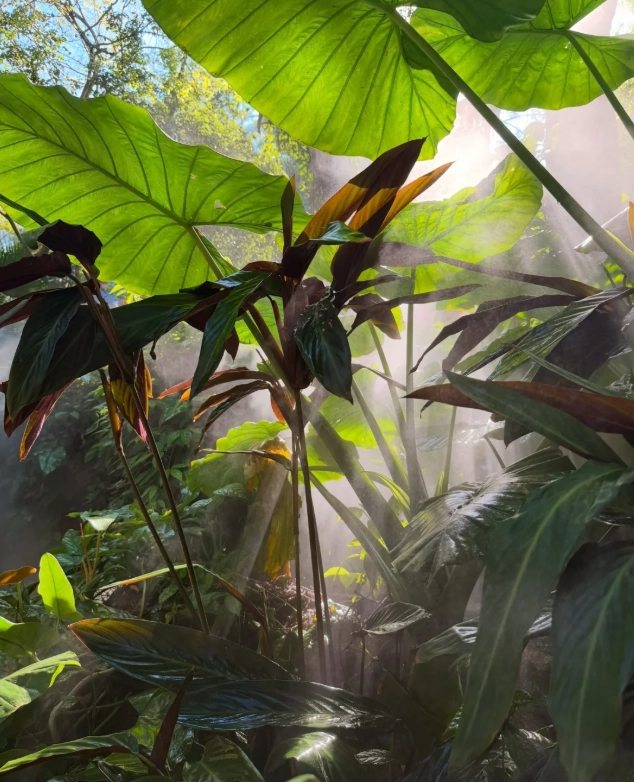 Xiamen Botanical Garden visit duration Xiamen Botanical Garden visit duration