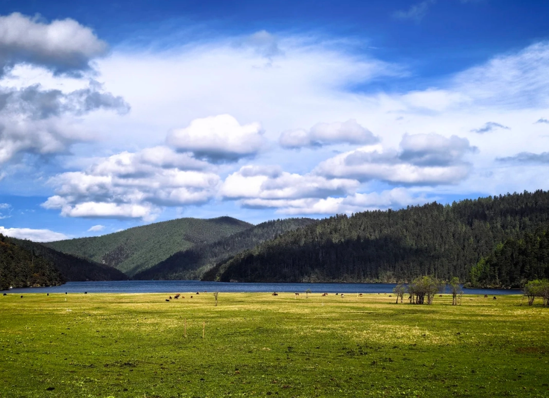 pudacuo national park english guide pudacuo national park english guide