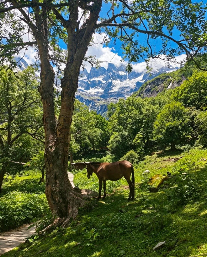 when to go to Yubeng Village when to go to Yubeng Village