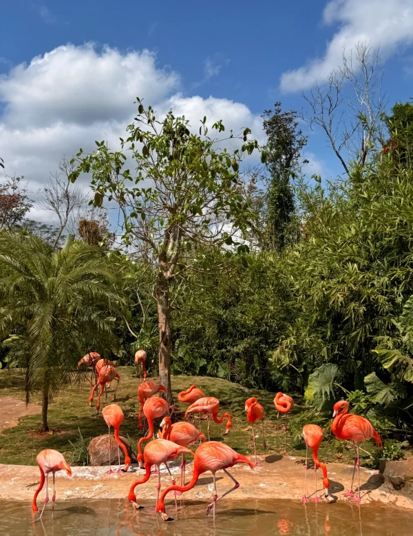 Hainan Tropical Wildlife Park Hainan Tropical Wildlife Park