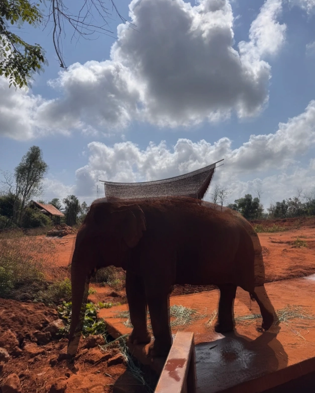 Hainan Tropical Wildlife Park tips Hainan Tropical Wildlife Park tips