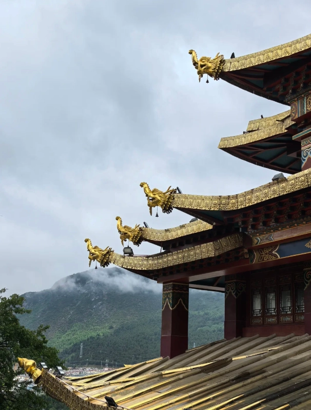 things to do in Shangri-La things to do in Shangri-La