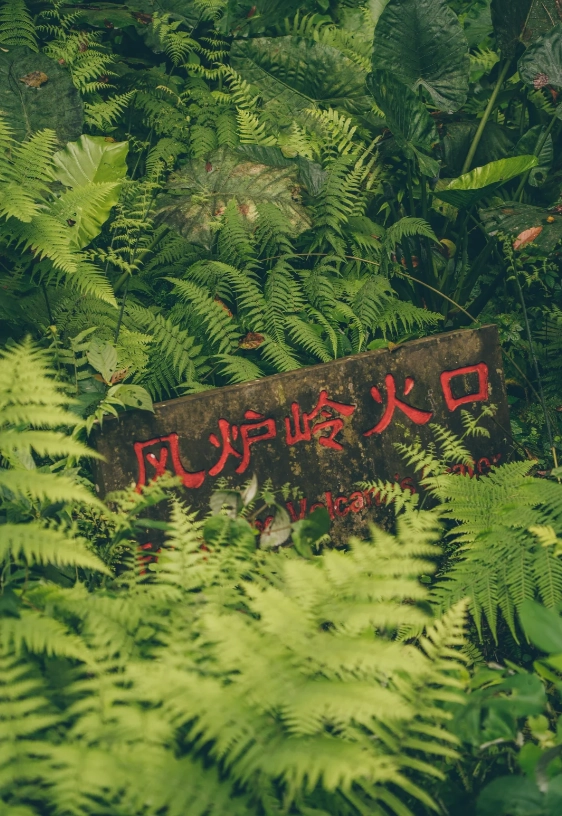 best time to visit haikou volcanic park best time to visit haikou volcanic park