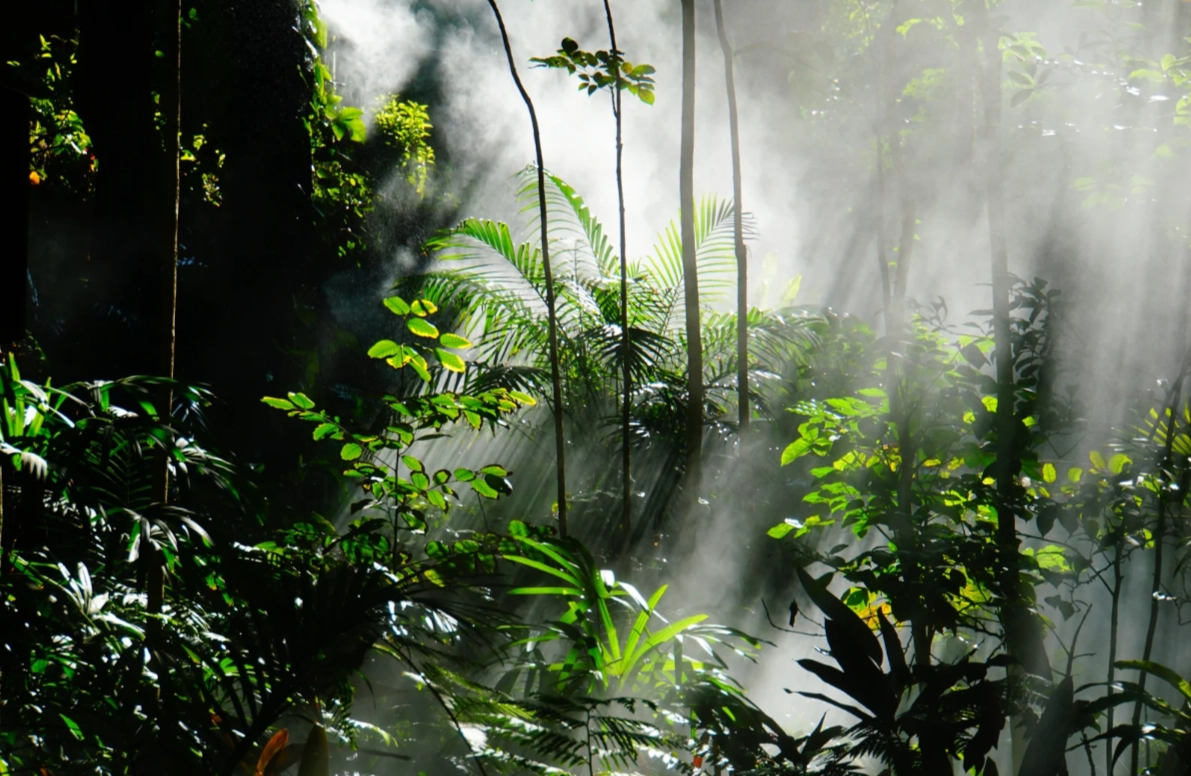 Xiamen Botanical Garden visit duration Xiamen Botanical Garden visit duration