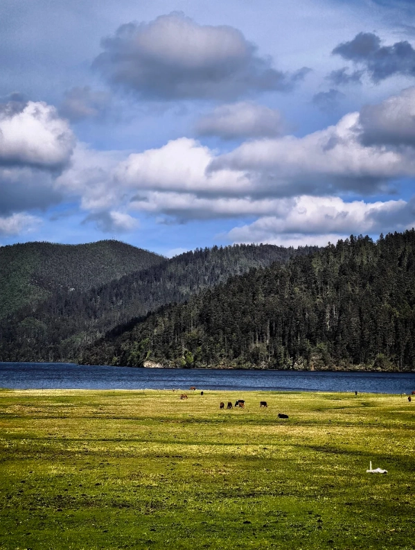 pudacuo national park yunnan pudacuo national park yunnan
