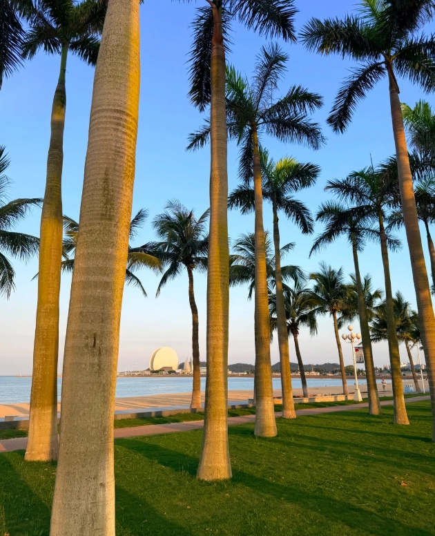 things to do in Zhuhai