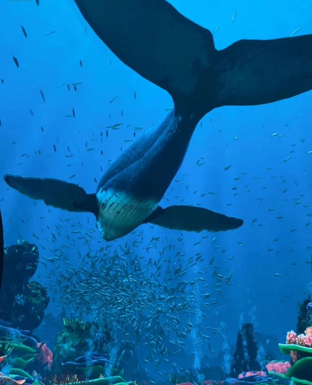 Photo of Chimelong Ocean Kingdom: Chimelong Ocean Kingdom best time