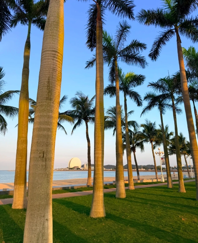 things to do in Zhuhai things to do in Zhuhai