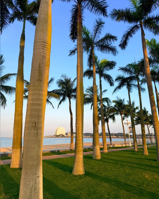 cheap things to do in Zhuhai cheap things to do in Zhuhai