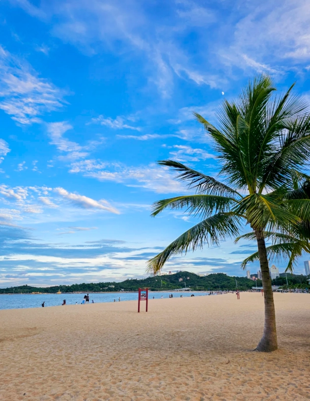 Photo of Lovers' Road: lovers' road xiamen