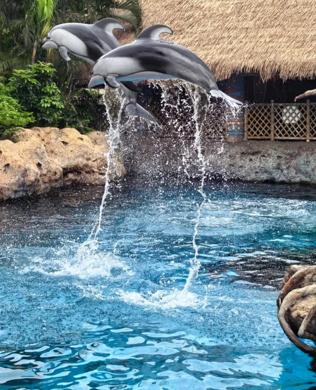 How Long to Spend at Chimelong Ocean Kingdom: Beat Crowds & Plan Perfect Day