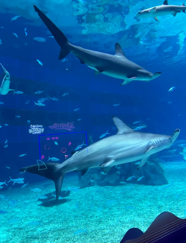 Chimelong Ocean Kingdom cheapest time