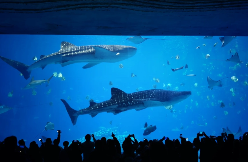 things to do in Zhuhai things to do in Zhuhai